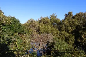 2025-06-21 Bartons Park - IMG_2481_compressed_q50.webp